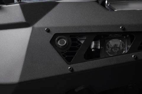 Photo - Close Up