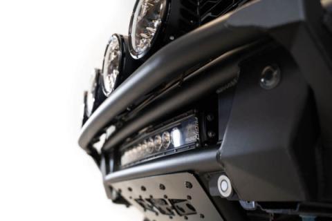 Photo - Close Up