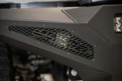 Photo - Close Up