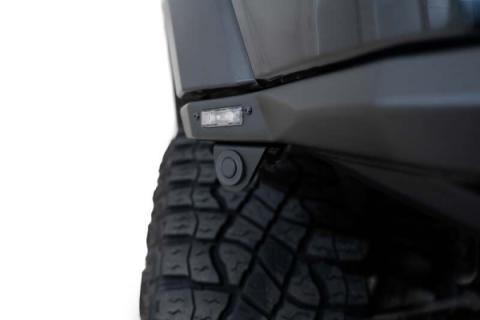 Photo - Close Up