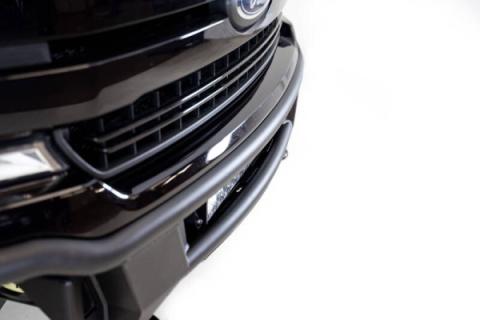 Photo - Close Up