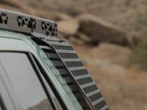 Photo - Close Up