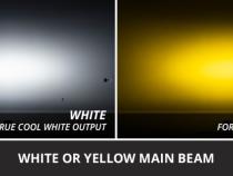 User 7
