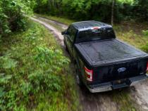 Photo - Mounted